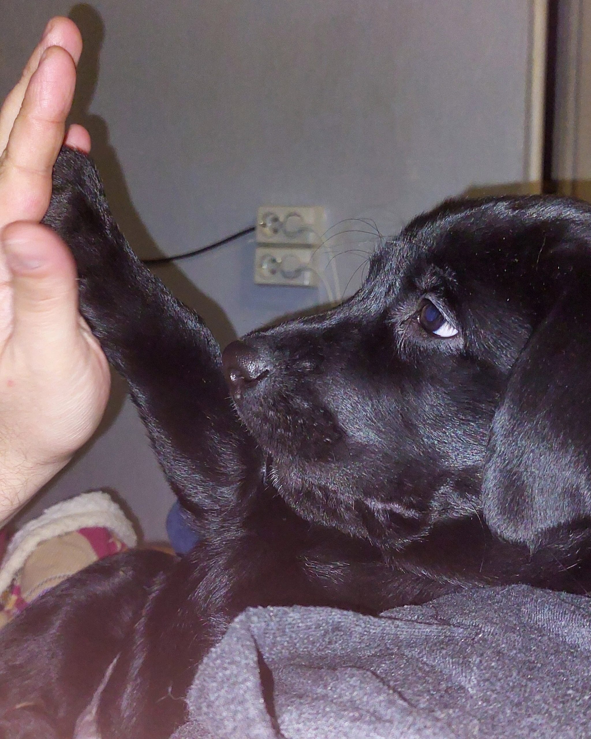 IMG_20230112_142936_305