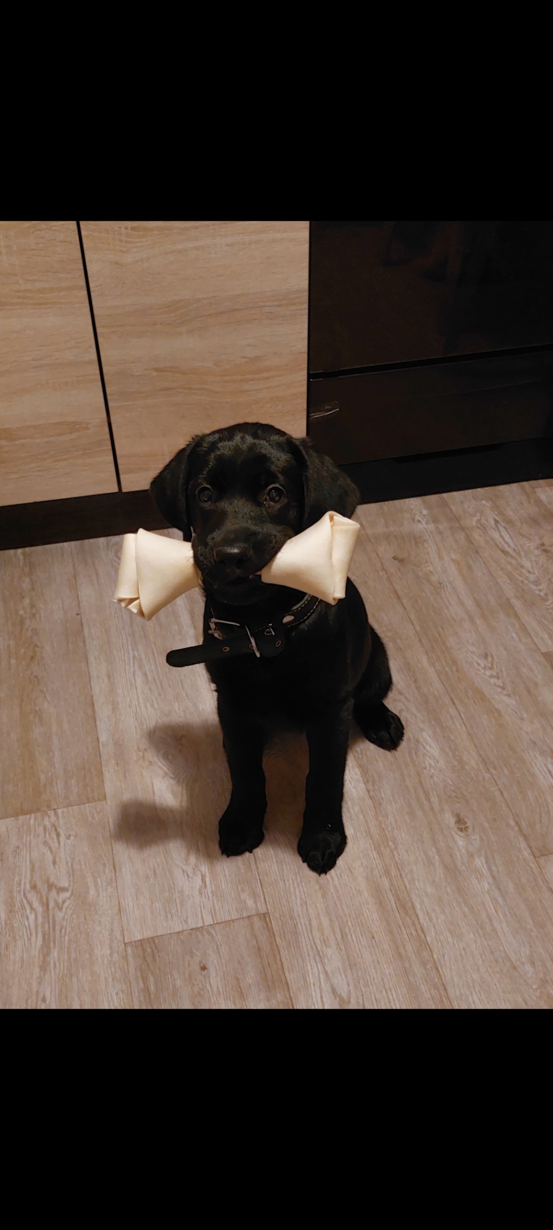 Screenshot_20230406_184828_Gallery-1