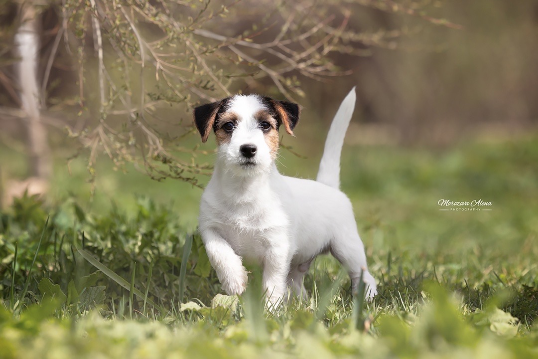 3E7E1EDD-DF3C-4E03-8944-675B9E44D9B1