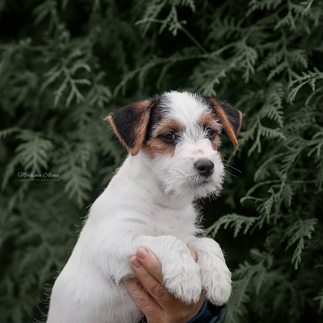 493D77A7-5602-4053-9AFF-AF303EAB9C84