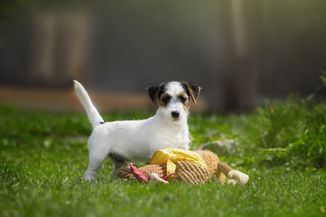 FE4BA49D-23B1-4B32-BE30-49EDBEFE0F5A