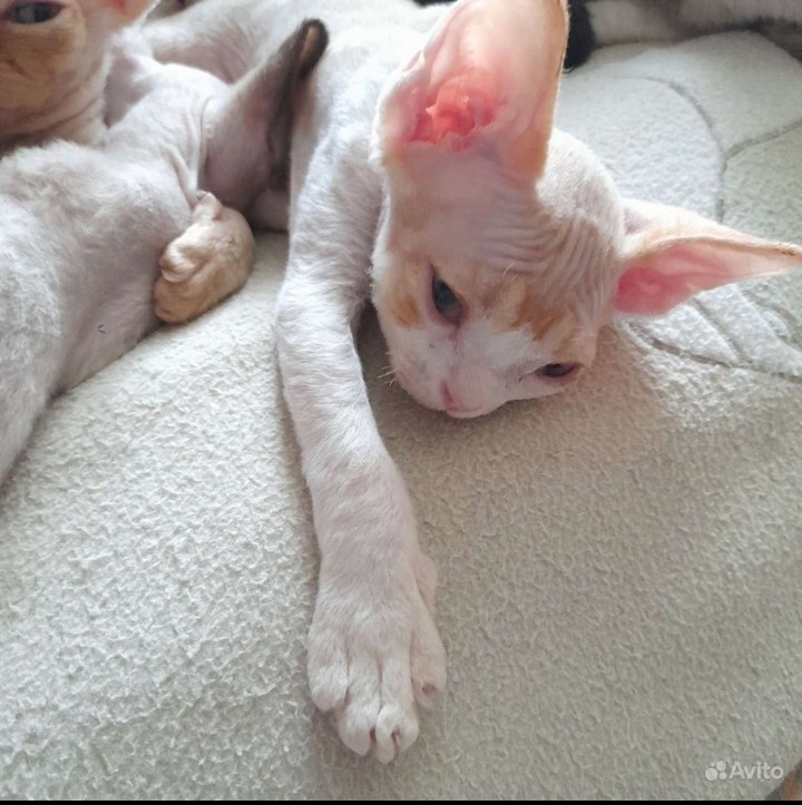 Screenshot_20230527-121817