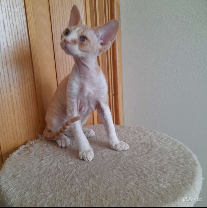 Screenshot_20230527-121833