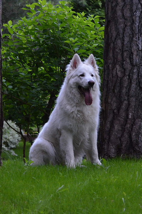 image-17-05-23-01-22-1