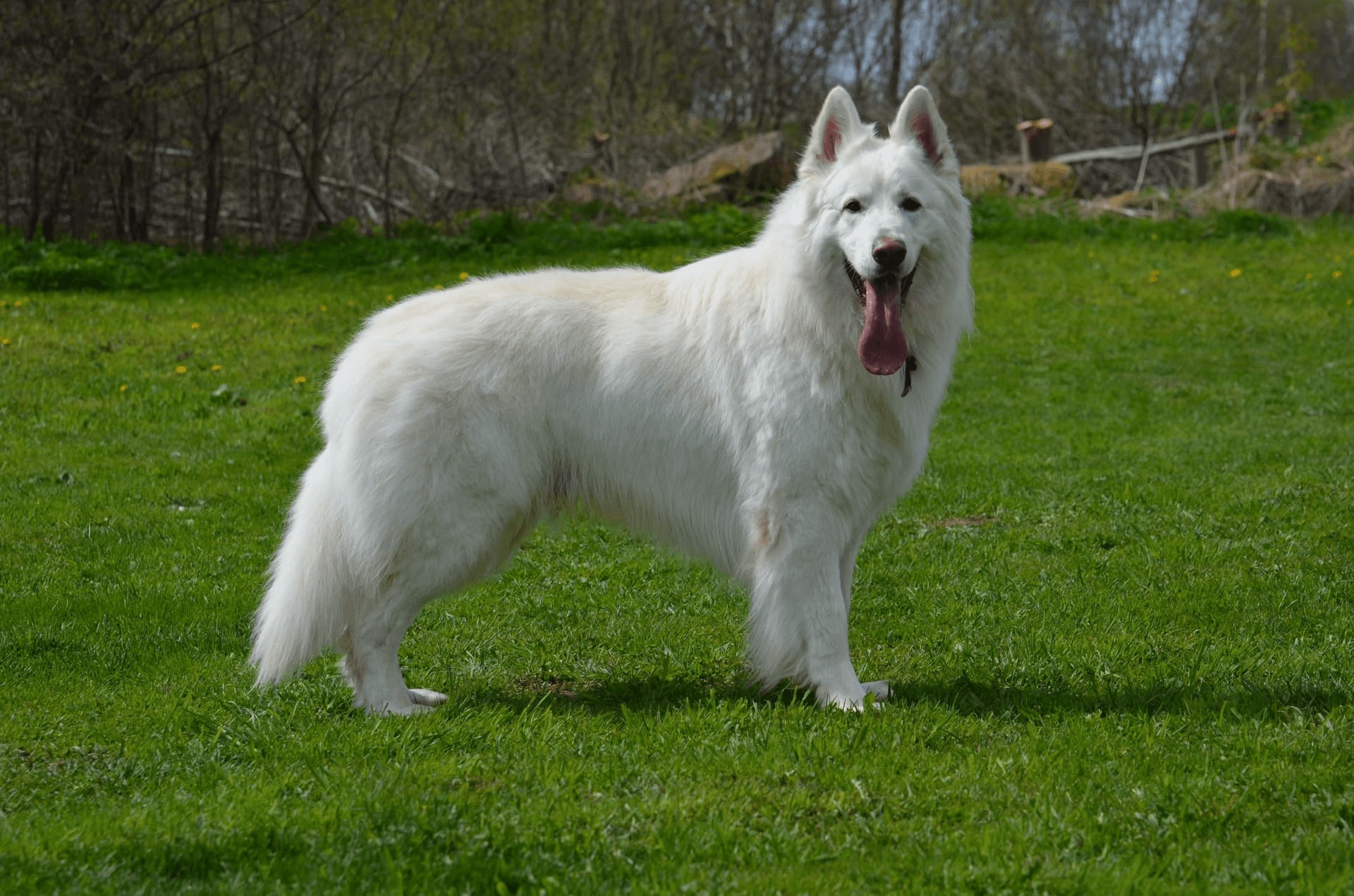 image-17-05-23-01-22-3