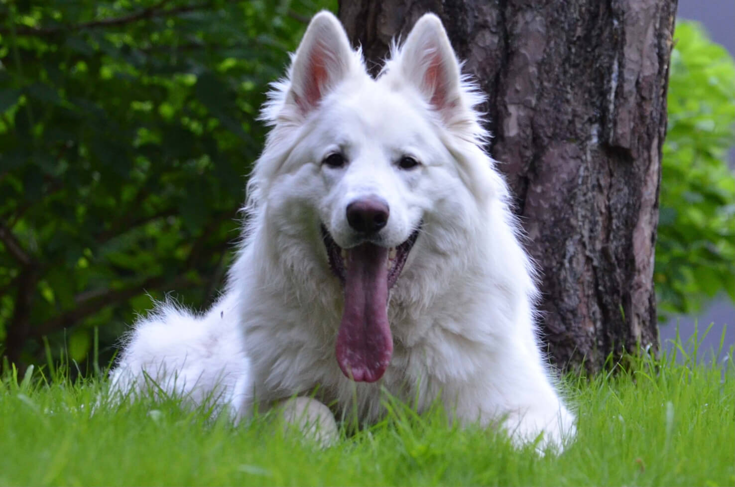 image-17-05-23-01-22