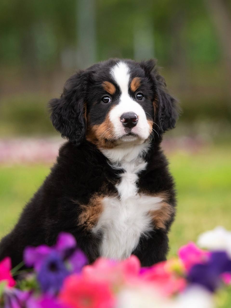 1189AAEB-ABB6-494A-830D-B618356E512D