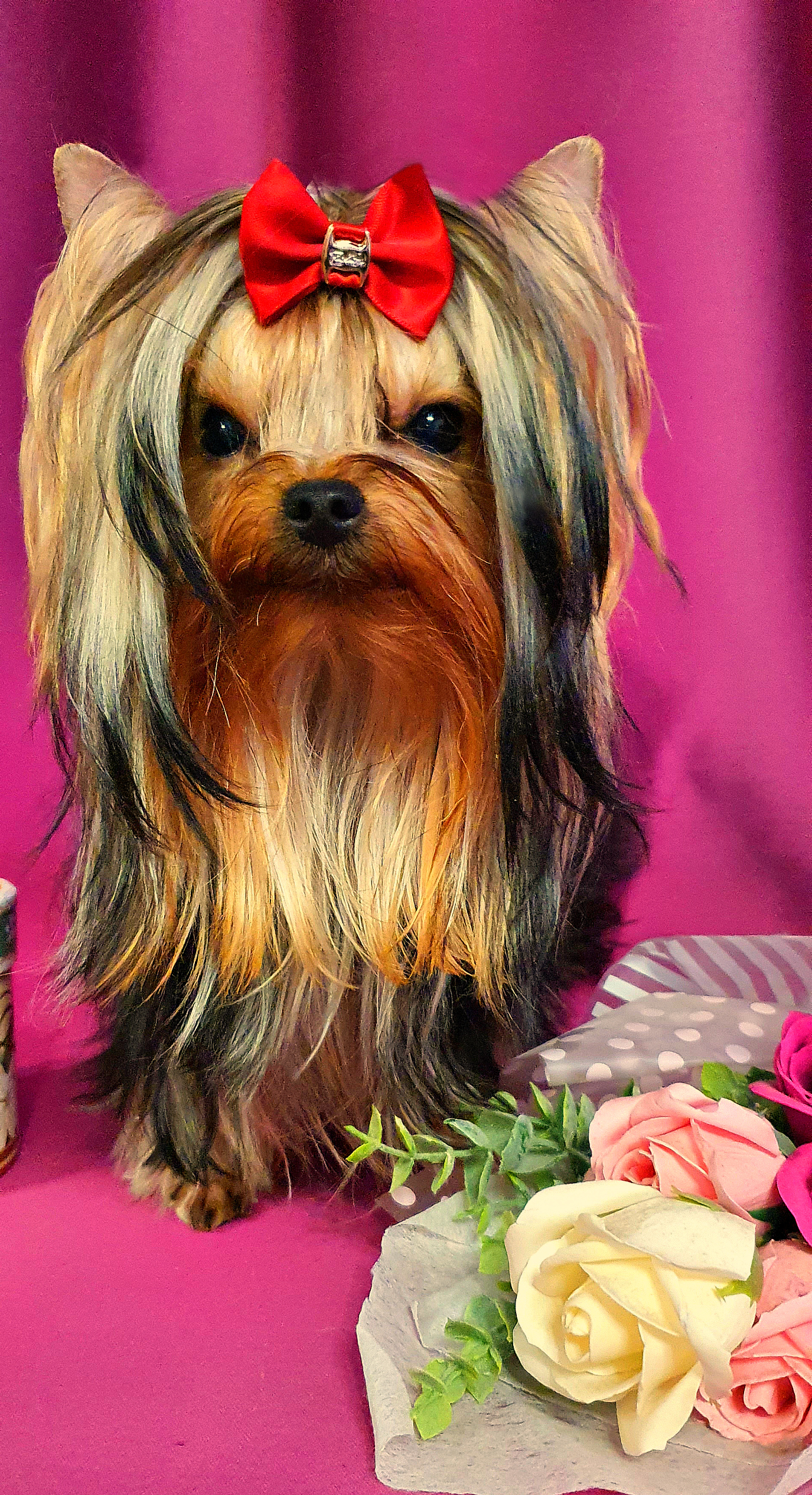 20230612_172623Да1