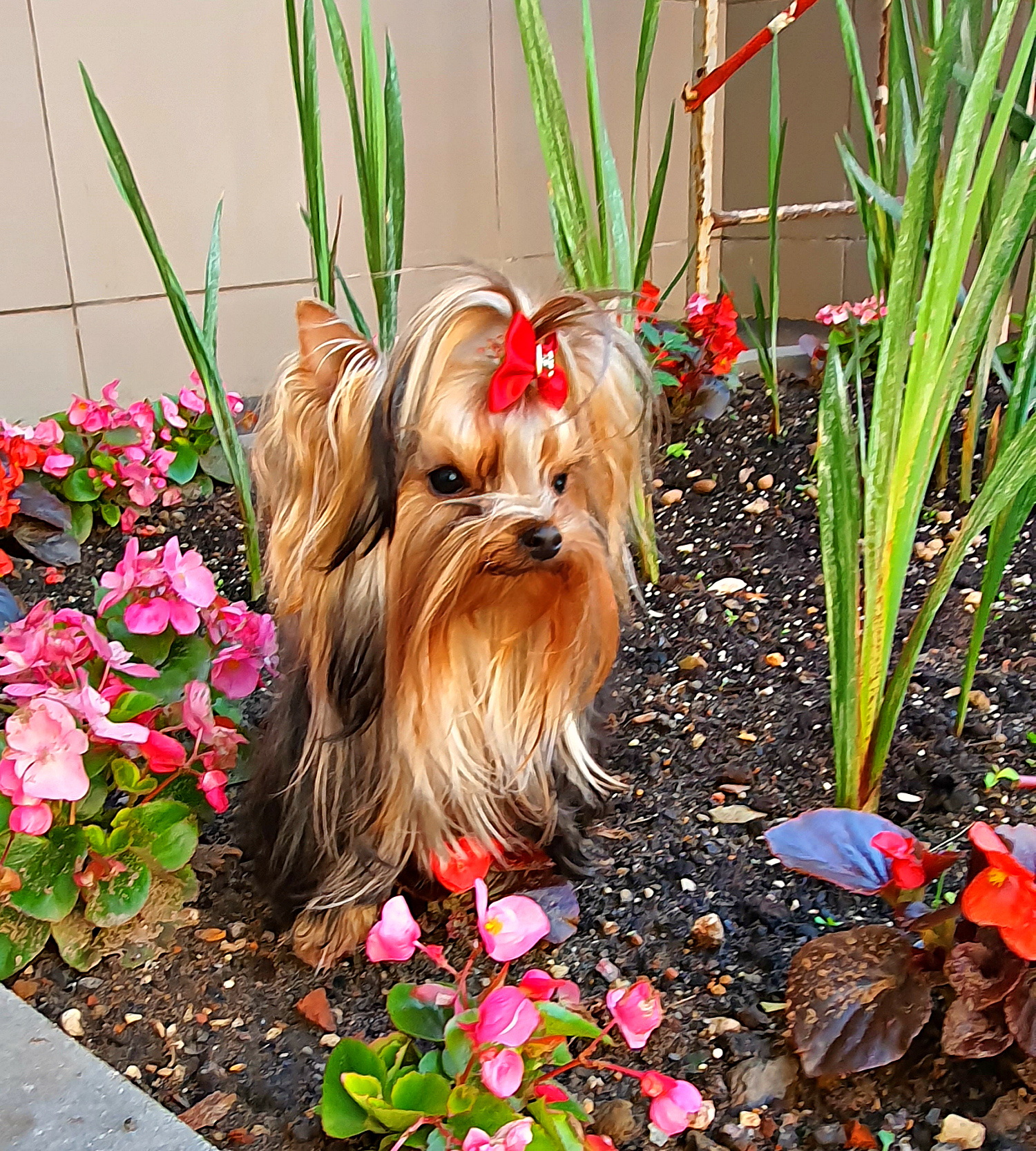 20230716_192103Да1