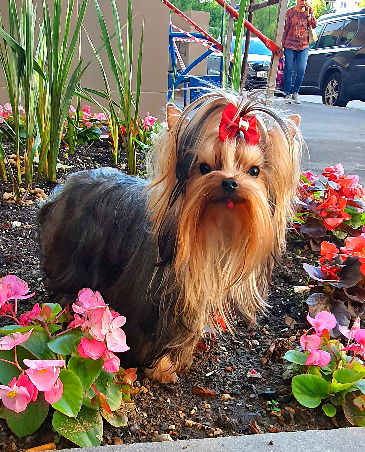 20230716_192113Да1