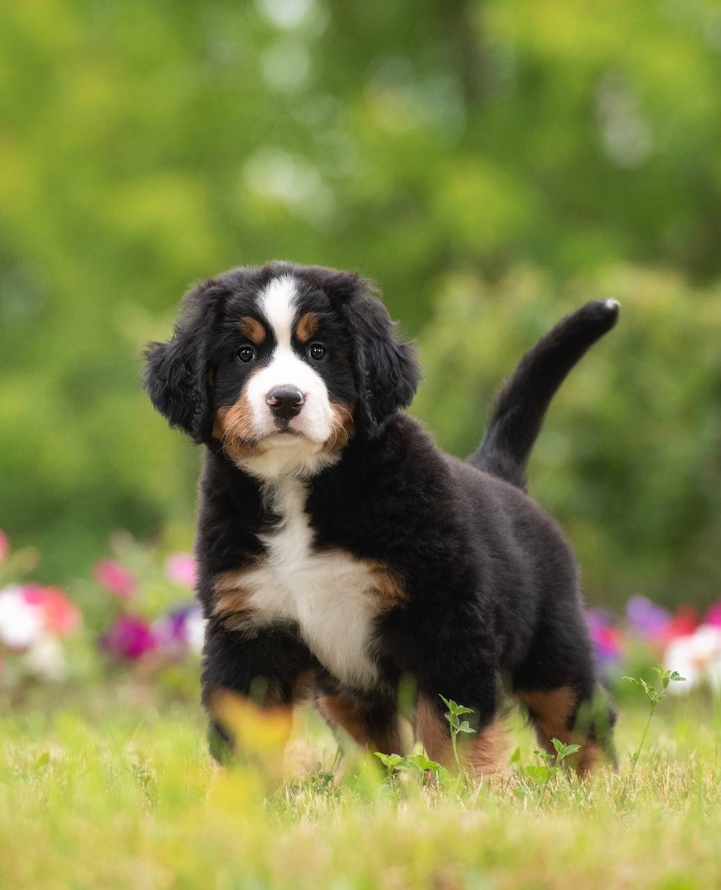 2FAB1AE6-C222-42F0-AC30-71660341B812