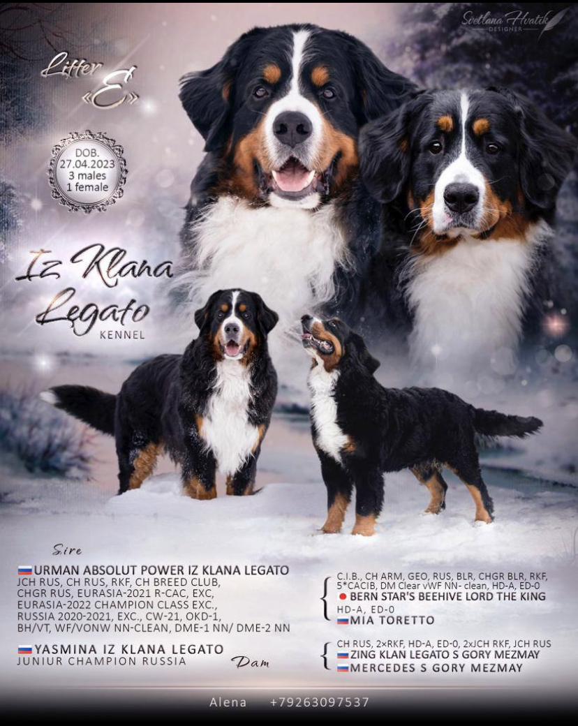 6D390341-DD1E-4C4F-9EF4-D3B259CD96FB