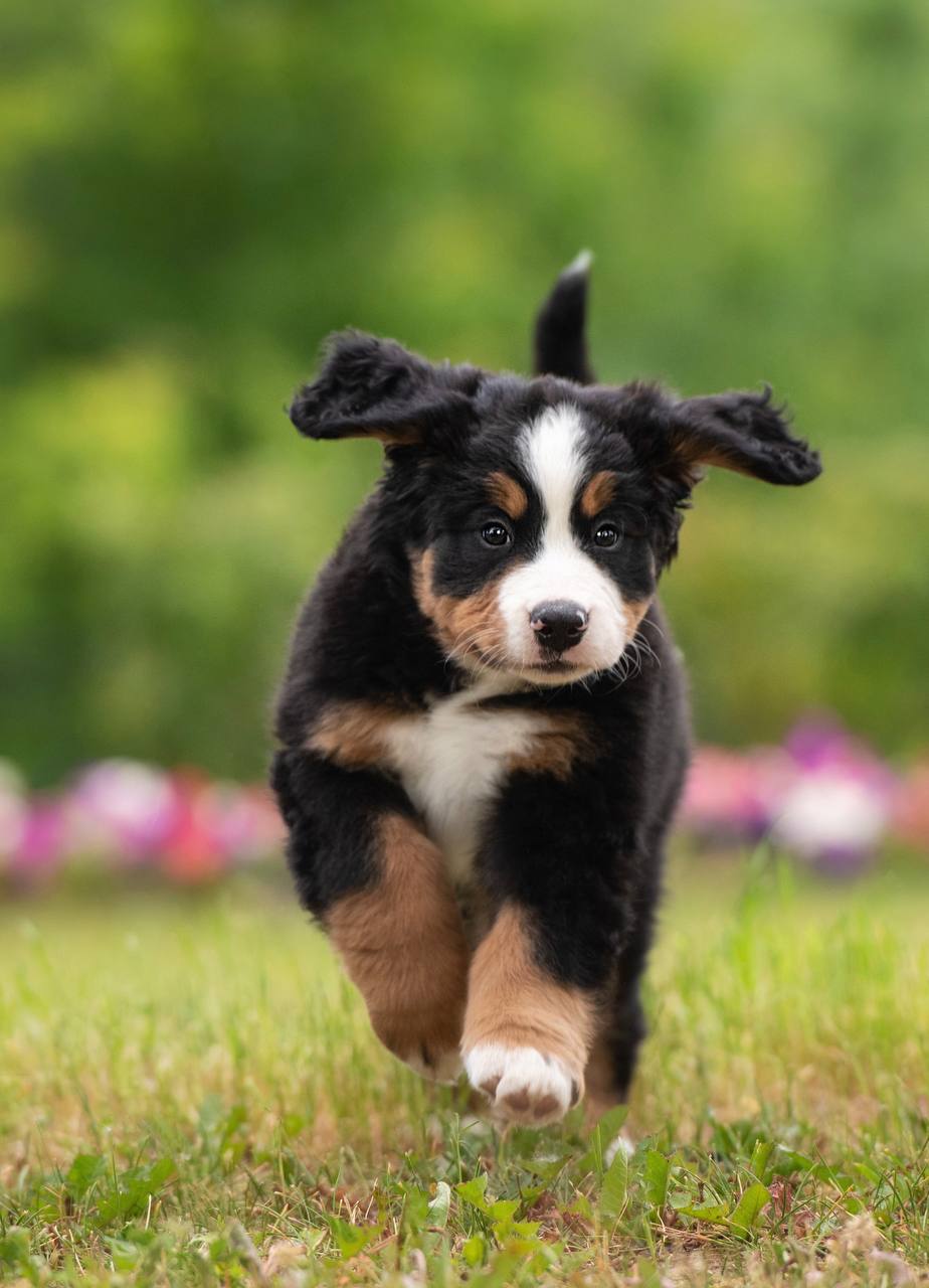 8C40C3BC-F22D-4A11-9287-EBE7D0DE73B7