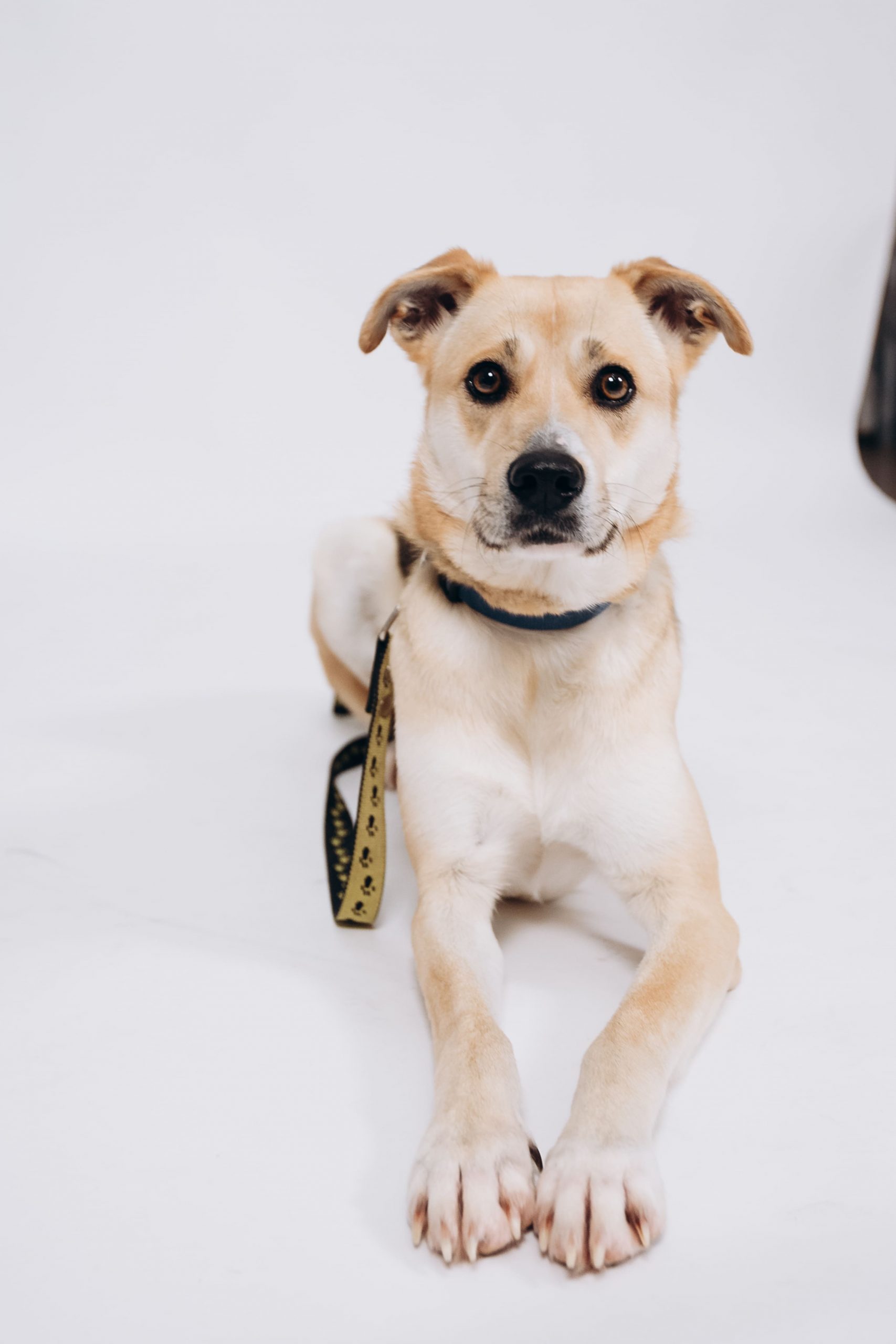 AnyConv.com__390338F0-EE40-4A1F-91A3-DF7478D3D3AE