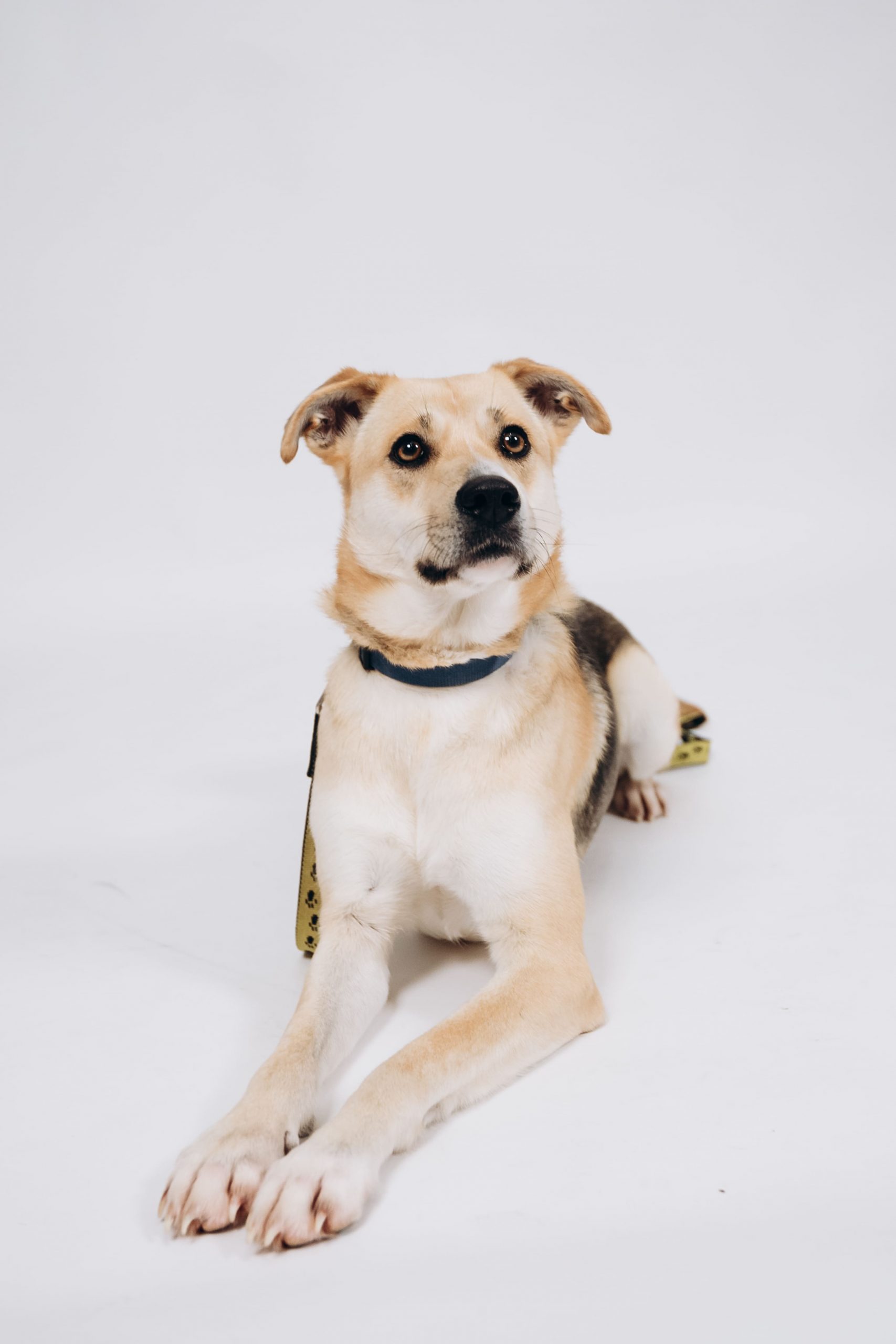 AnyConv.com__974C0512-4BEB-4487-BF96-A08732A97ED0