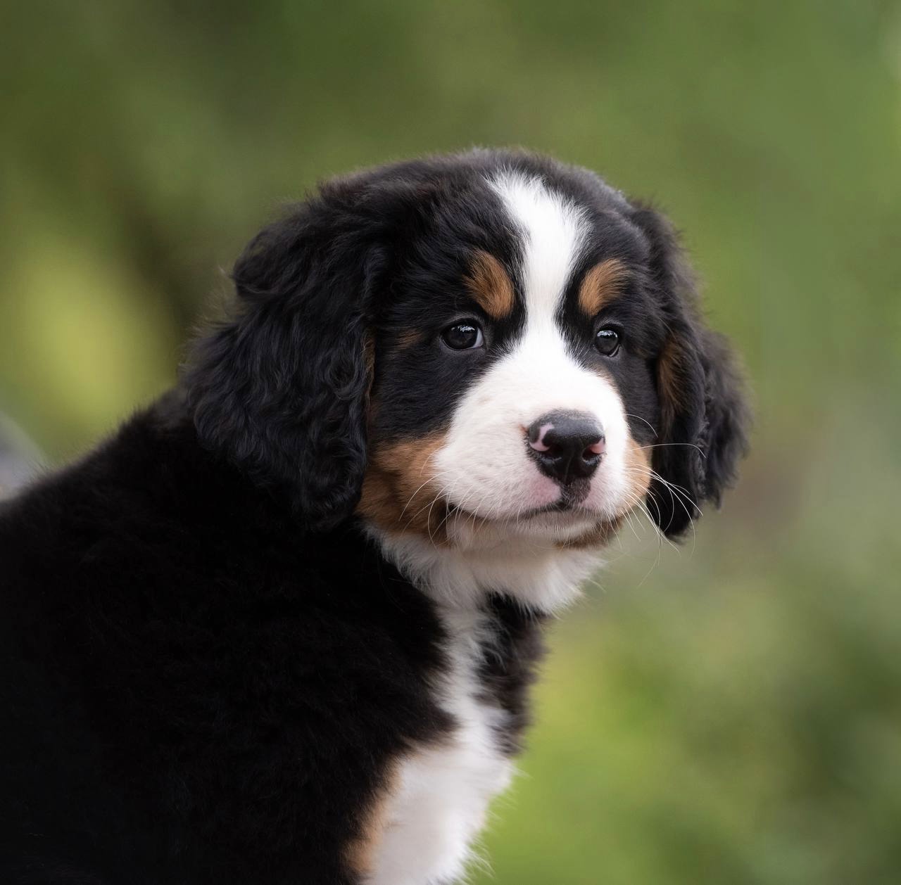 CA0BACE0-887B-4C05-8DE1-14DEC731DD86