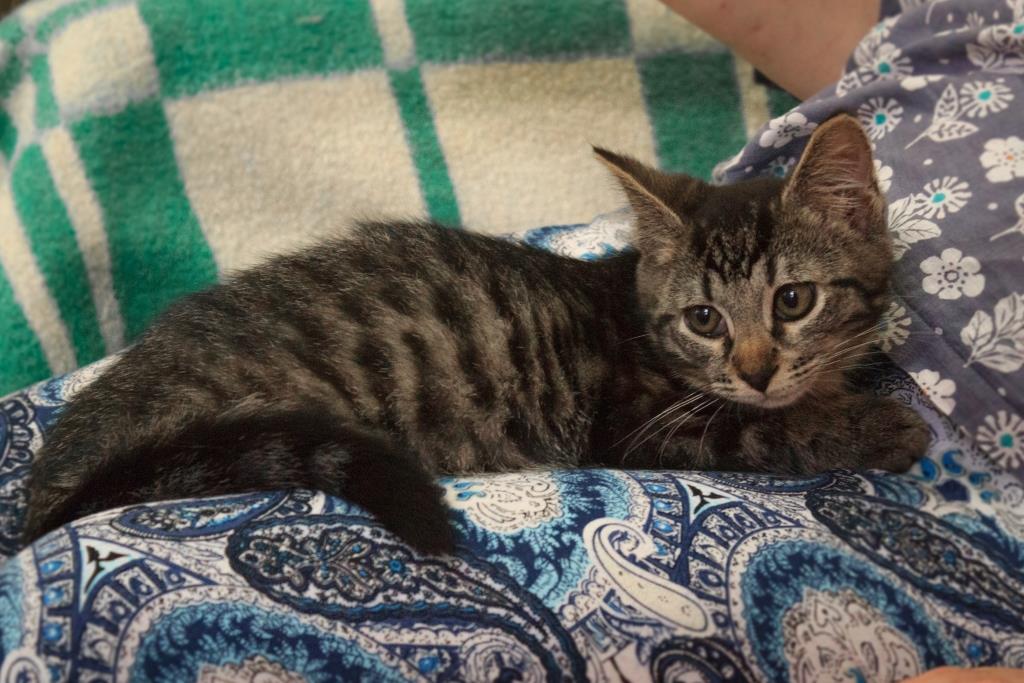 Collage_20230620_151609