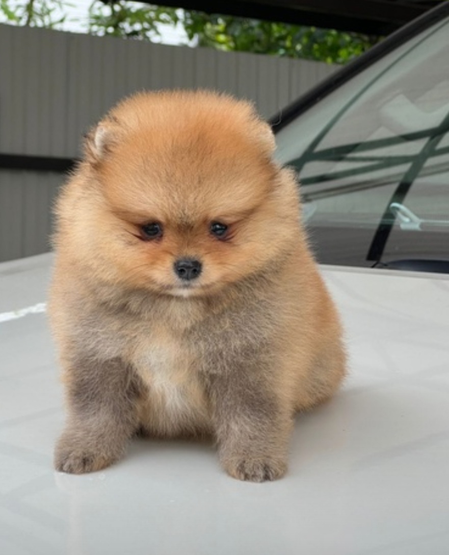 Screenshot_20230805-025135_Chrome