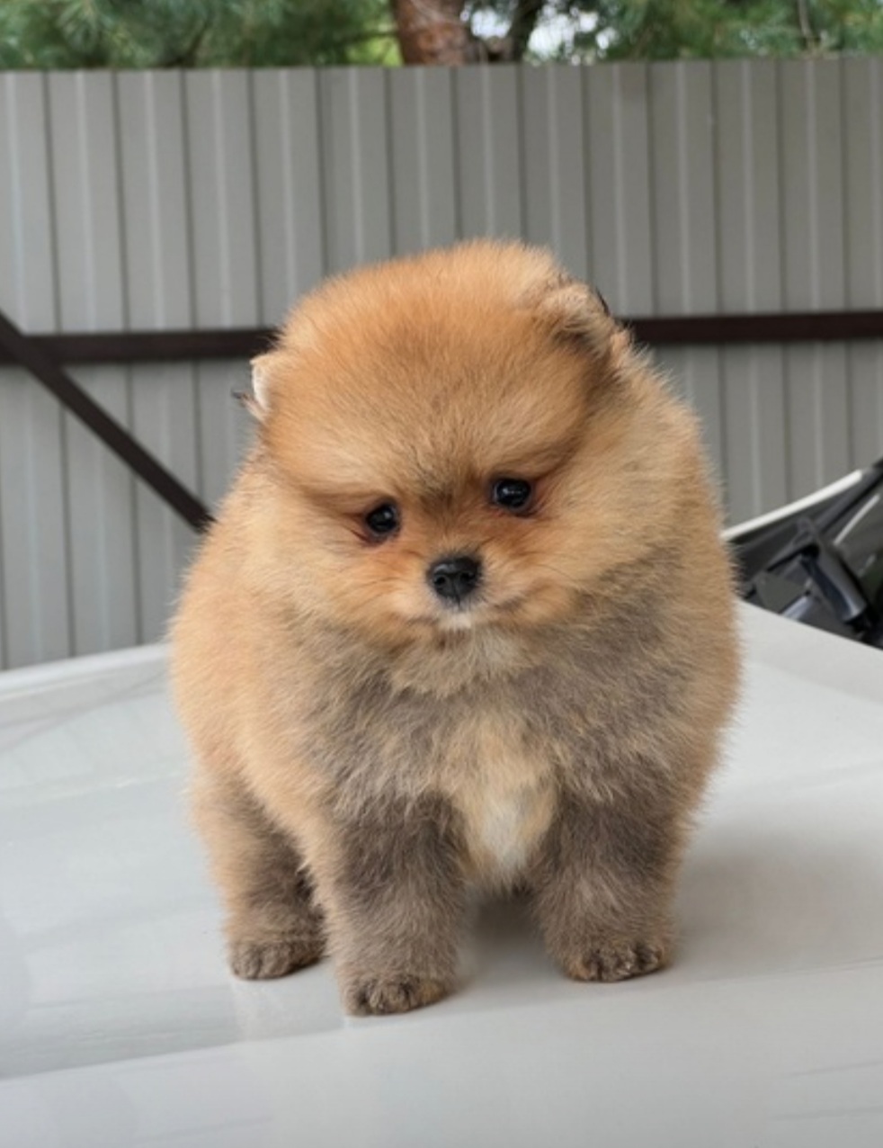 Screenshot_20230805-025147_Chrome