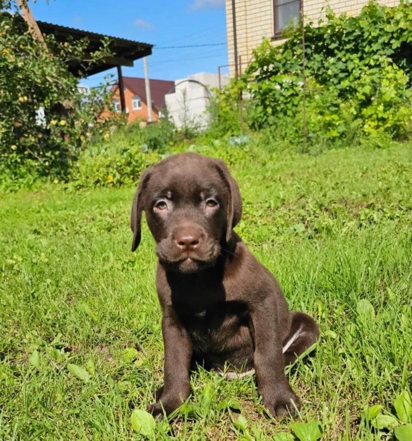 -Сергей-п-Заволжский