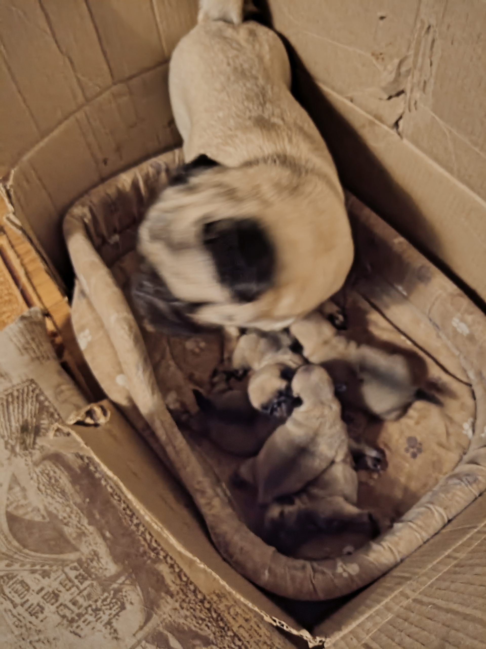 IMG_20230917_191955_437