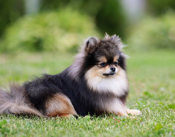 Screenshot_20230915-0842482