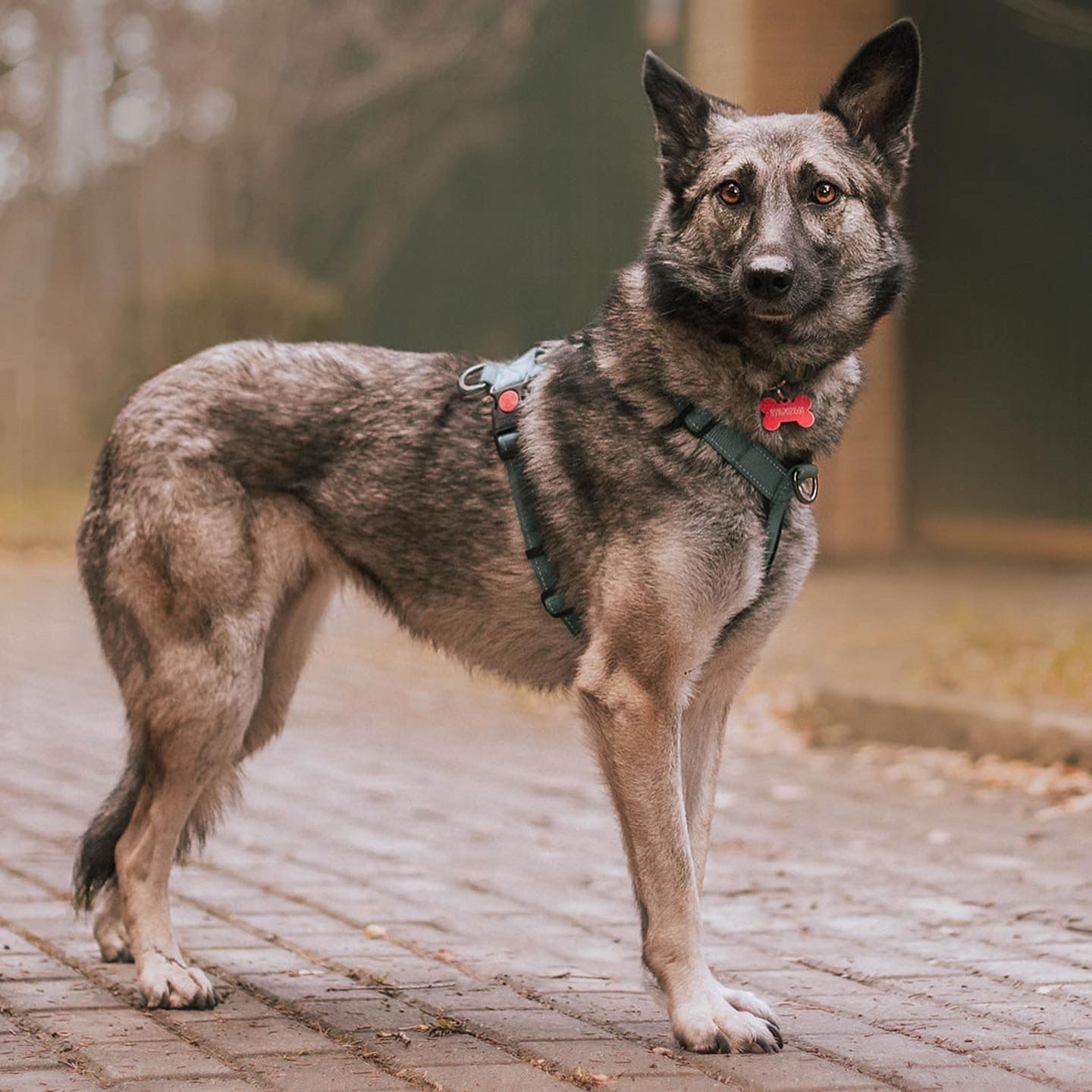 WhatsApp-Image-2023-08-08-at-08.45.48-1