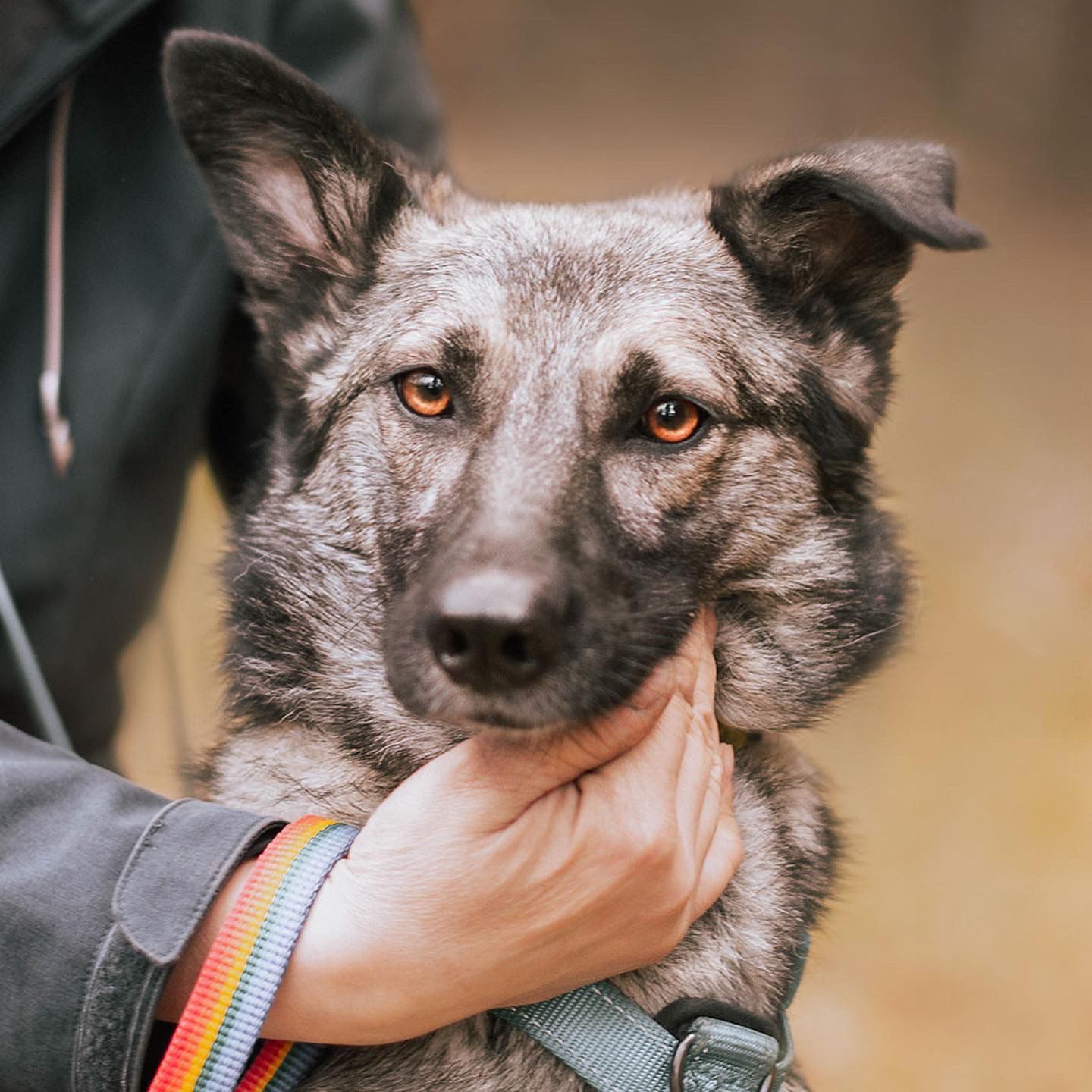 WhatsApp-Image-2023-08-08-at-08.45.48