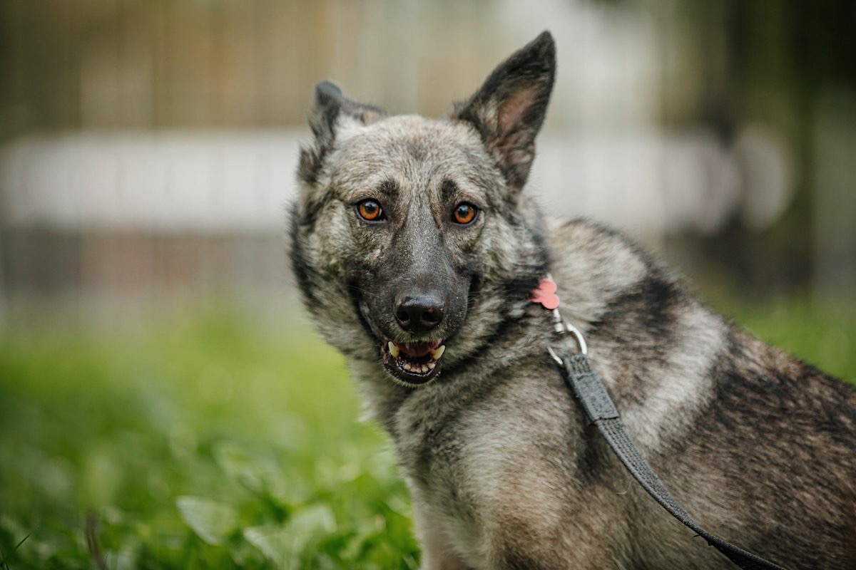 WhatsApp-Image-2023-08-08-at-08.45.49