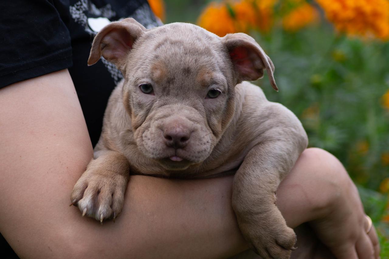 WhatsApp-Image-2023-09-21-at-12.52.11