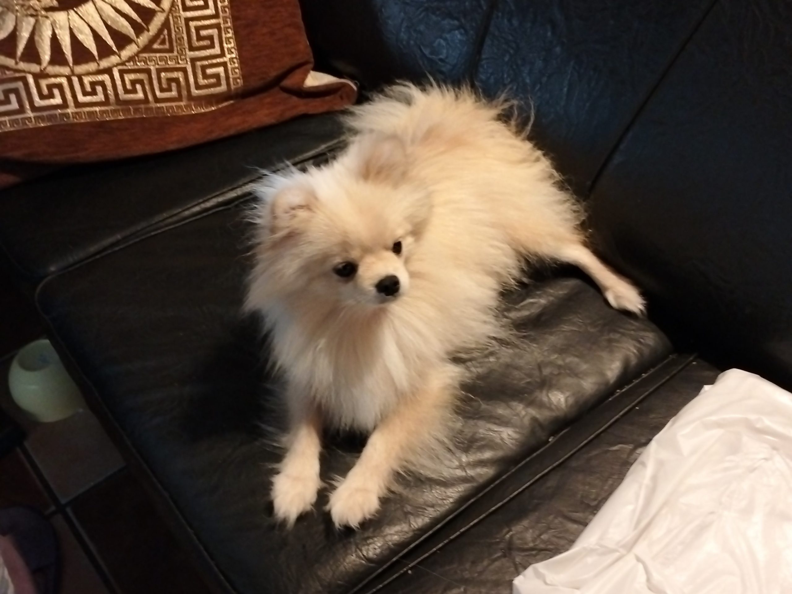 avito-1693313449509-shot