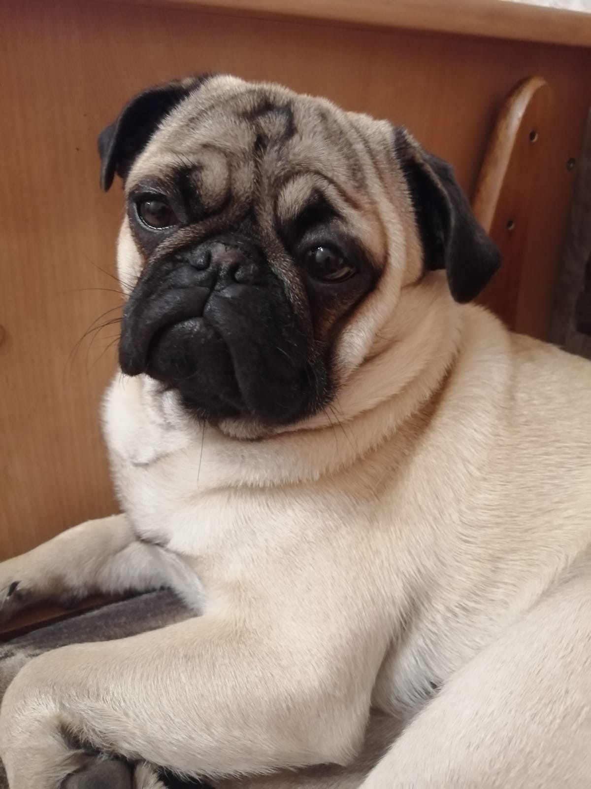 avito-1695308225663-shot