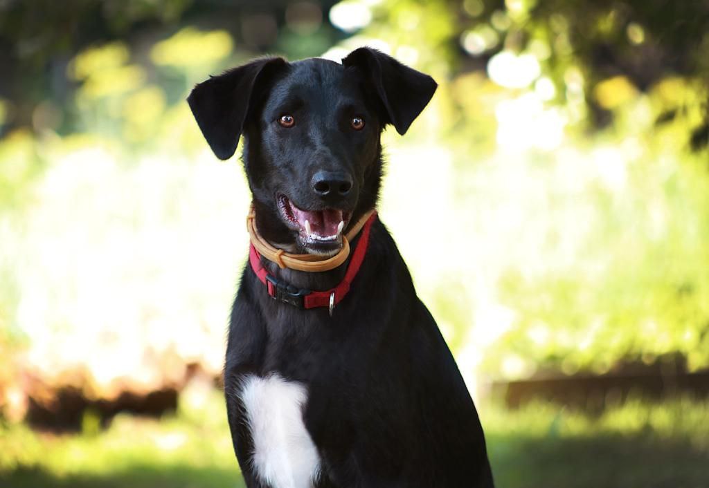 photo_2023-09-01_19-11-42