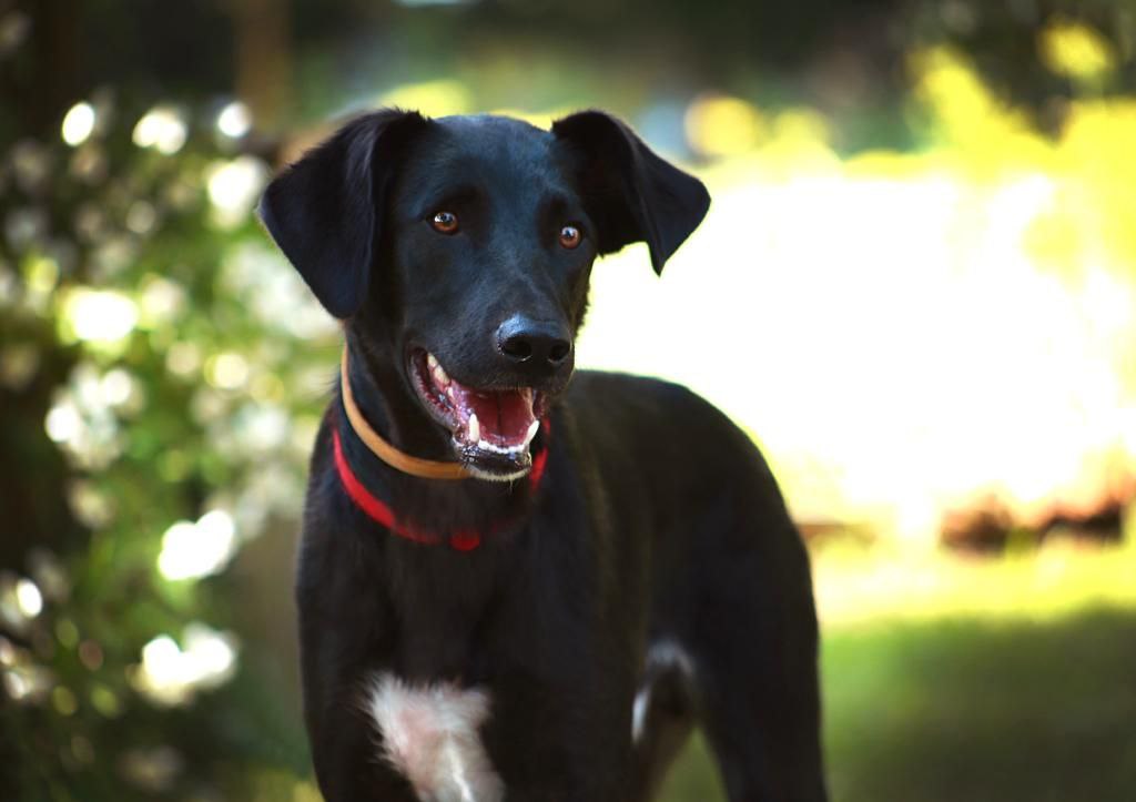 photo_2023-09-01_19-11-43-2