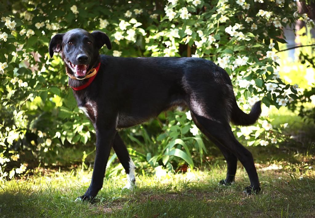 photo_2023-09-01_19-11-43