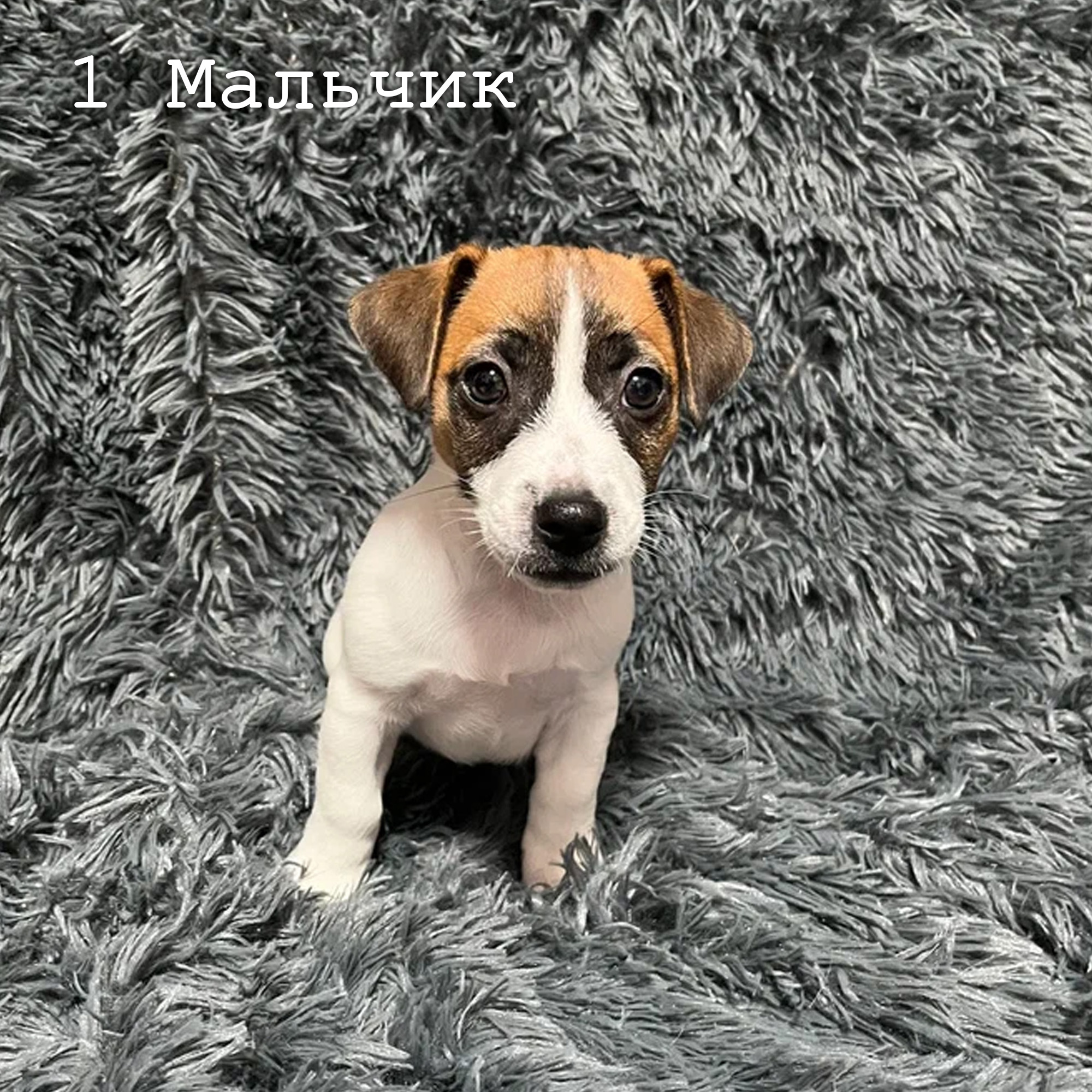1-3
