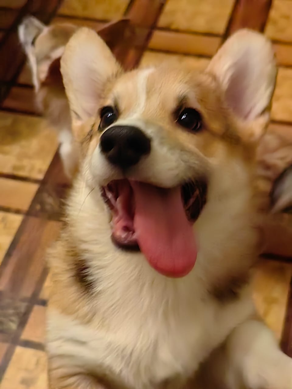 41f9ecfb-6935-4b71-81de-23b62019aeb3