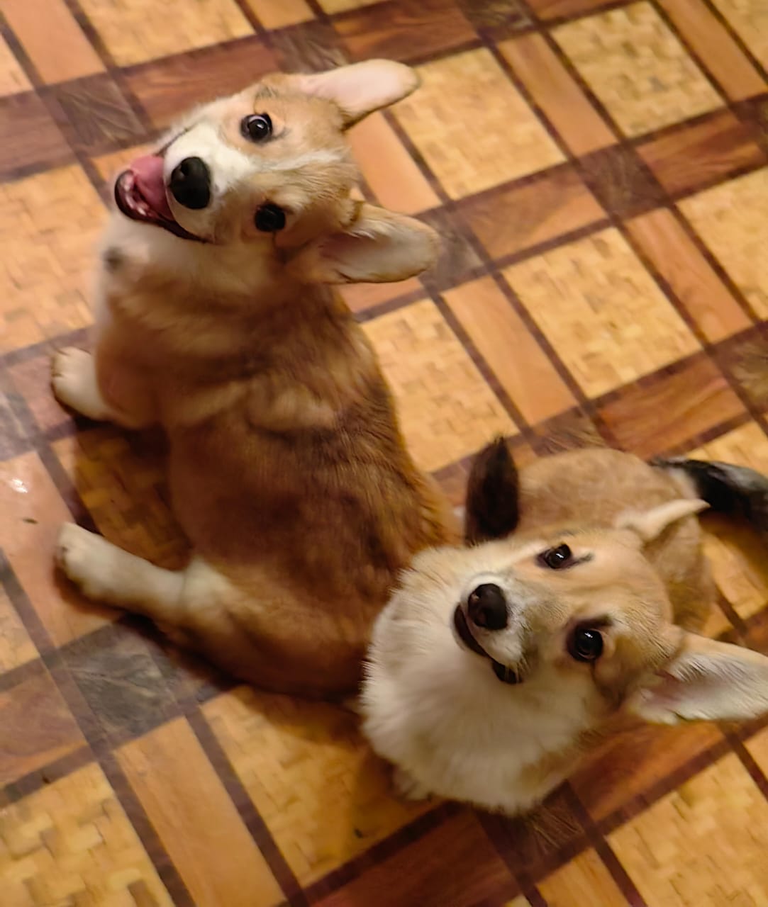 4668ef3d-652d-4741-89df-68e790d8d5c7