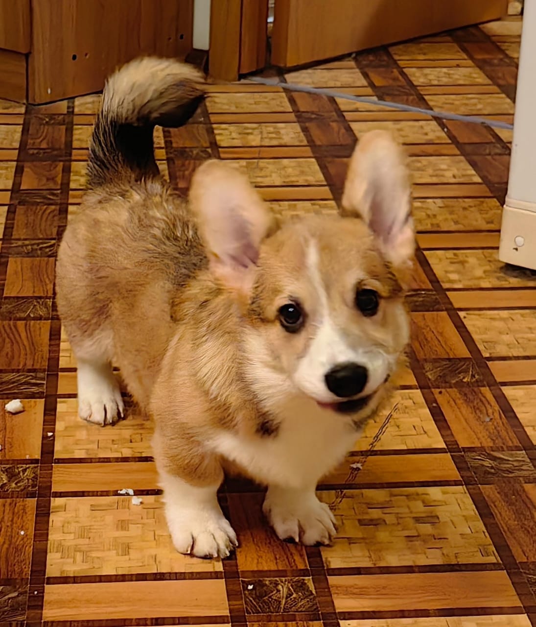 5c016185-8d81-4bed-ac1d-b782d5de8f4b