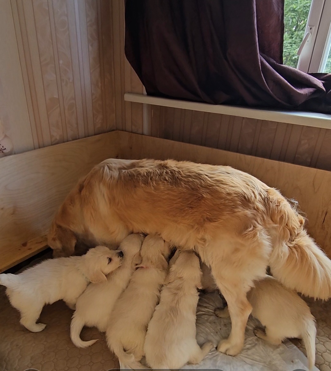 Screenshot_20231008_100735_Gallery