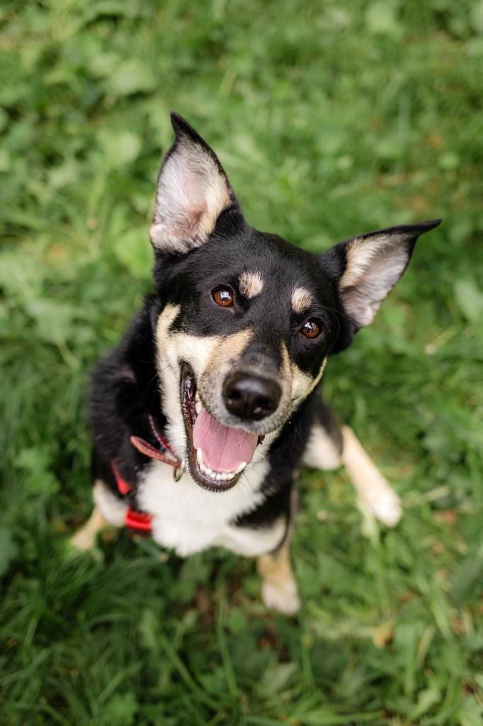 WhatsApp-Image-2023-10-03-at-17.17.54