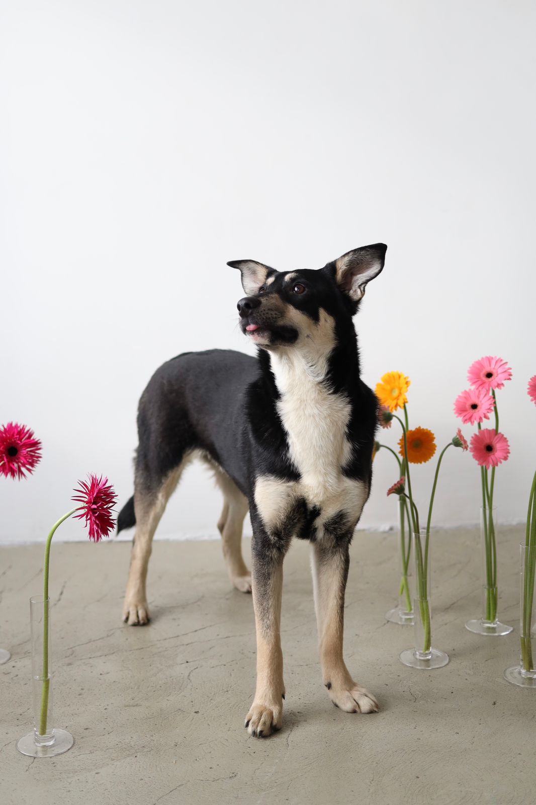 WhatsApp-Image-2023-10-03-at-17.22.32