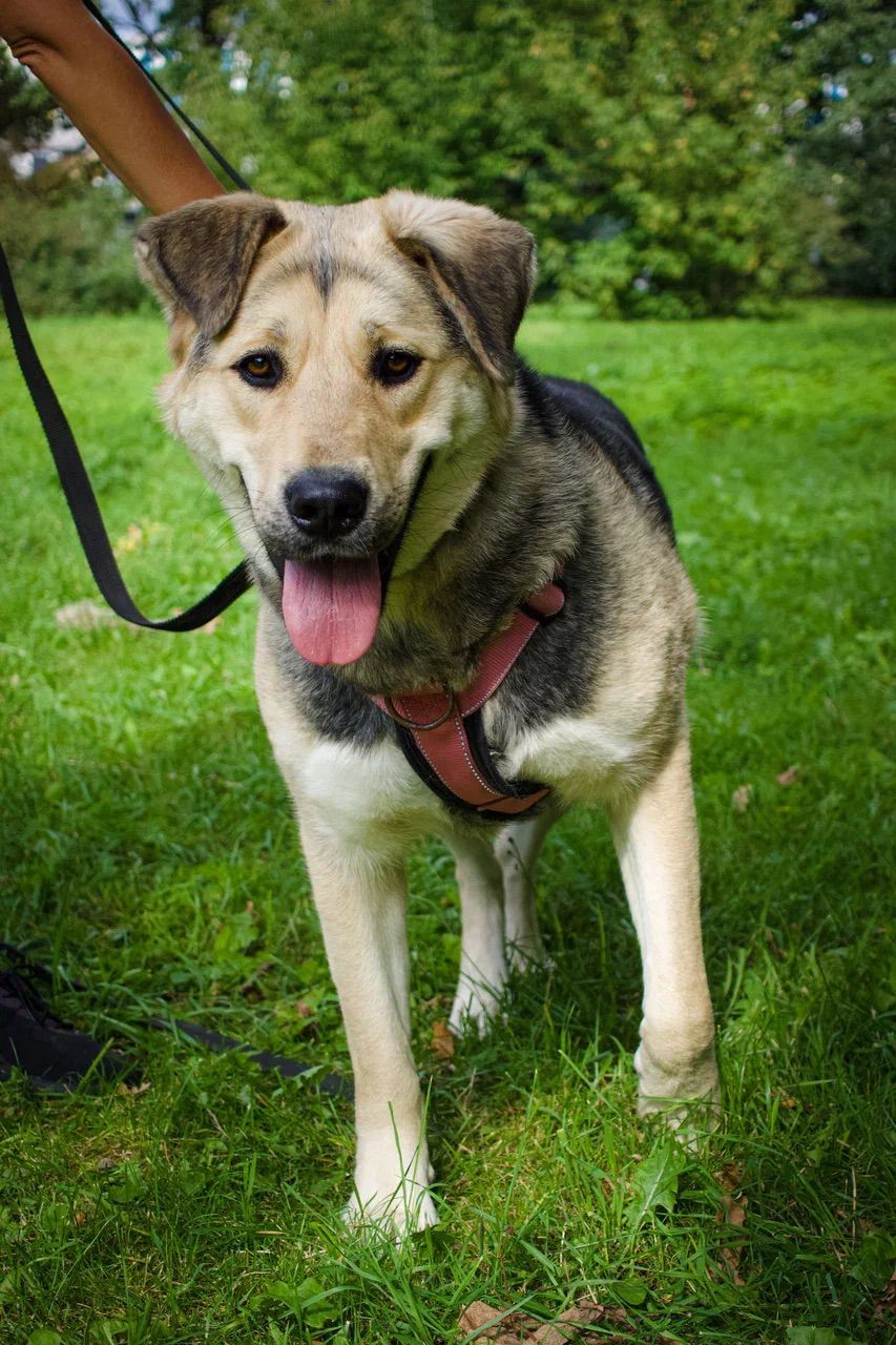 WhatsApp-Image-2023-10-03-at-17.28.54