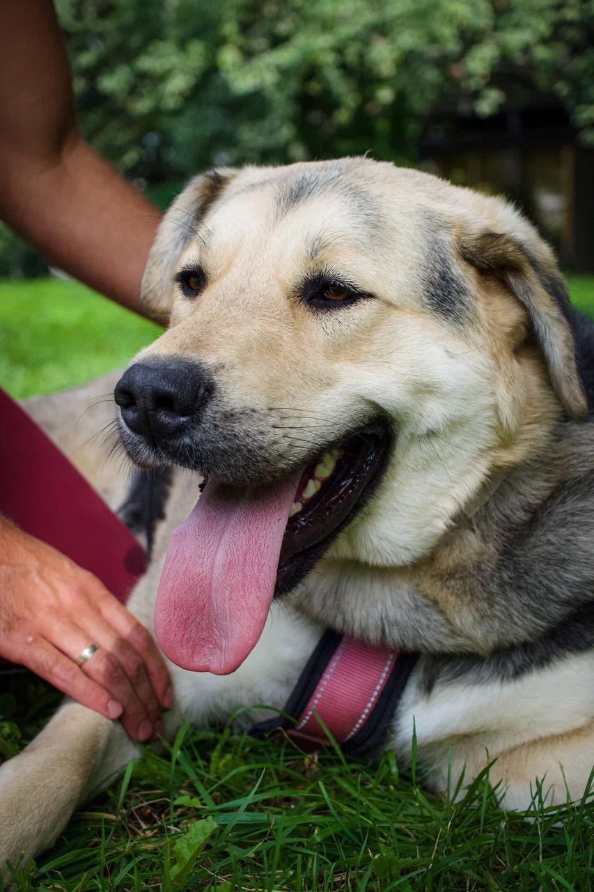 WhatsApp-Image-2023-10-03-at-17.28.55