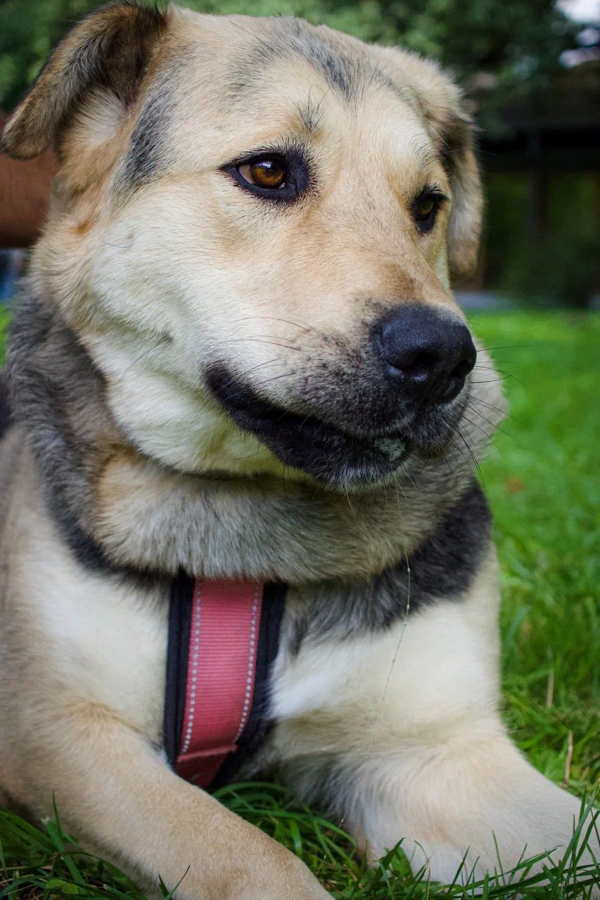 WhatsApp-Image-2023-10-03-at-17.28.56-1