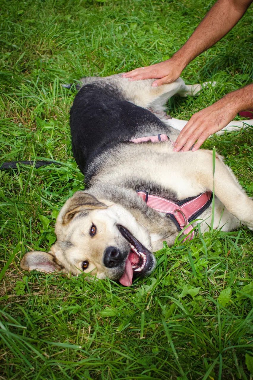 WhatsApp-Image-2023-10-03-at-17.28.56