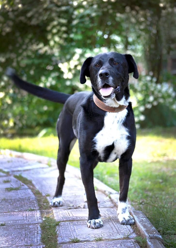 photo_2023-06-27_14-30-01-2