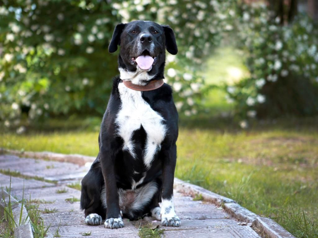 photo_2023-06-27_14-30-01-3