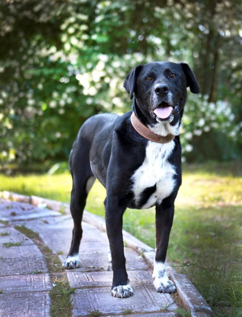 photo_2023-06-27_14-30-01-4