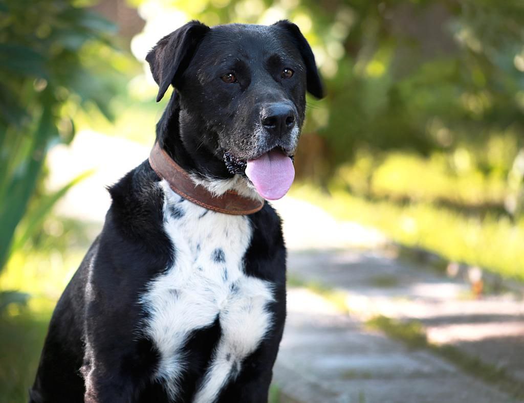 photo_2023-06-27_14-30-01